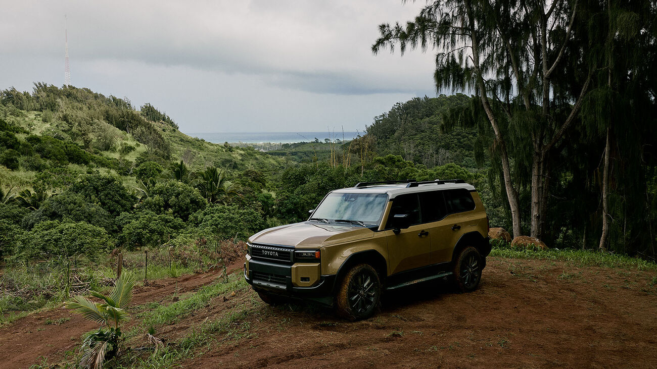 Toyota Land Cruiser in Trail Dust parked at a forest lookout with luscious green forest behind.