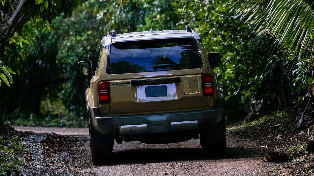 2026 Toyota Land Cruiser driving away on a forest dirt road.