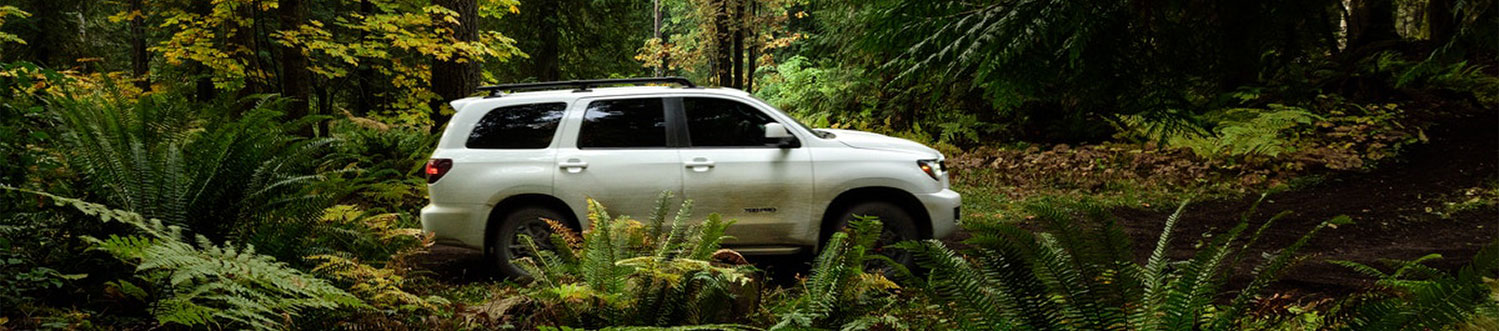 2022 Toyota Sequoia.
